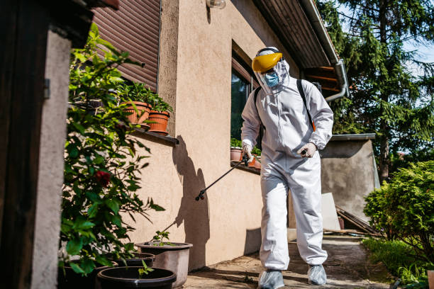 Best Mosquito Control Services  in Rockville, MN