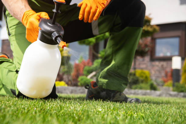 Best Affordable Exterminators  in Rockville, MN