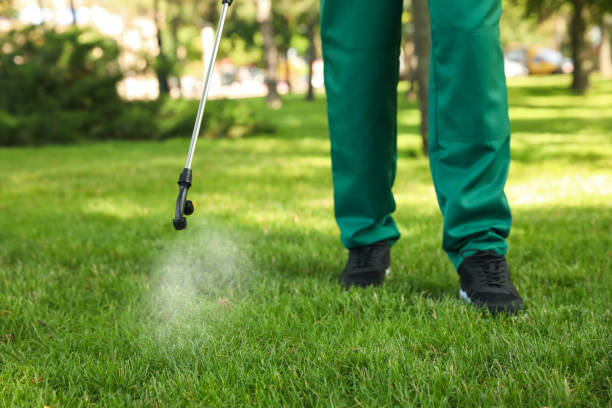 Best Flea Control Services  in Rockville, MN