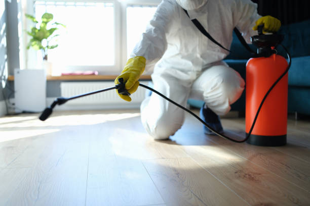 Best Best Pest Control Companies  in Rockville, MN