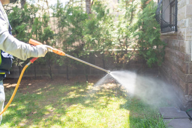 Best Cockroach Control Services  in Rockville, MN