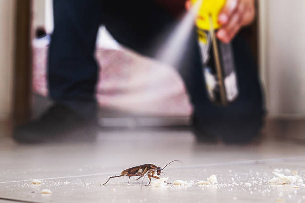 Best Pest Control Cost  in Rockville, MN